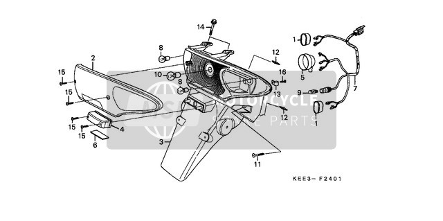 Rear Combination Light (2)